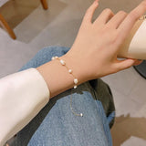 انسيال لولي ستانلس - batcino.com